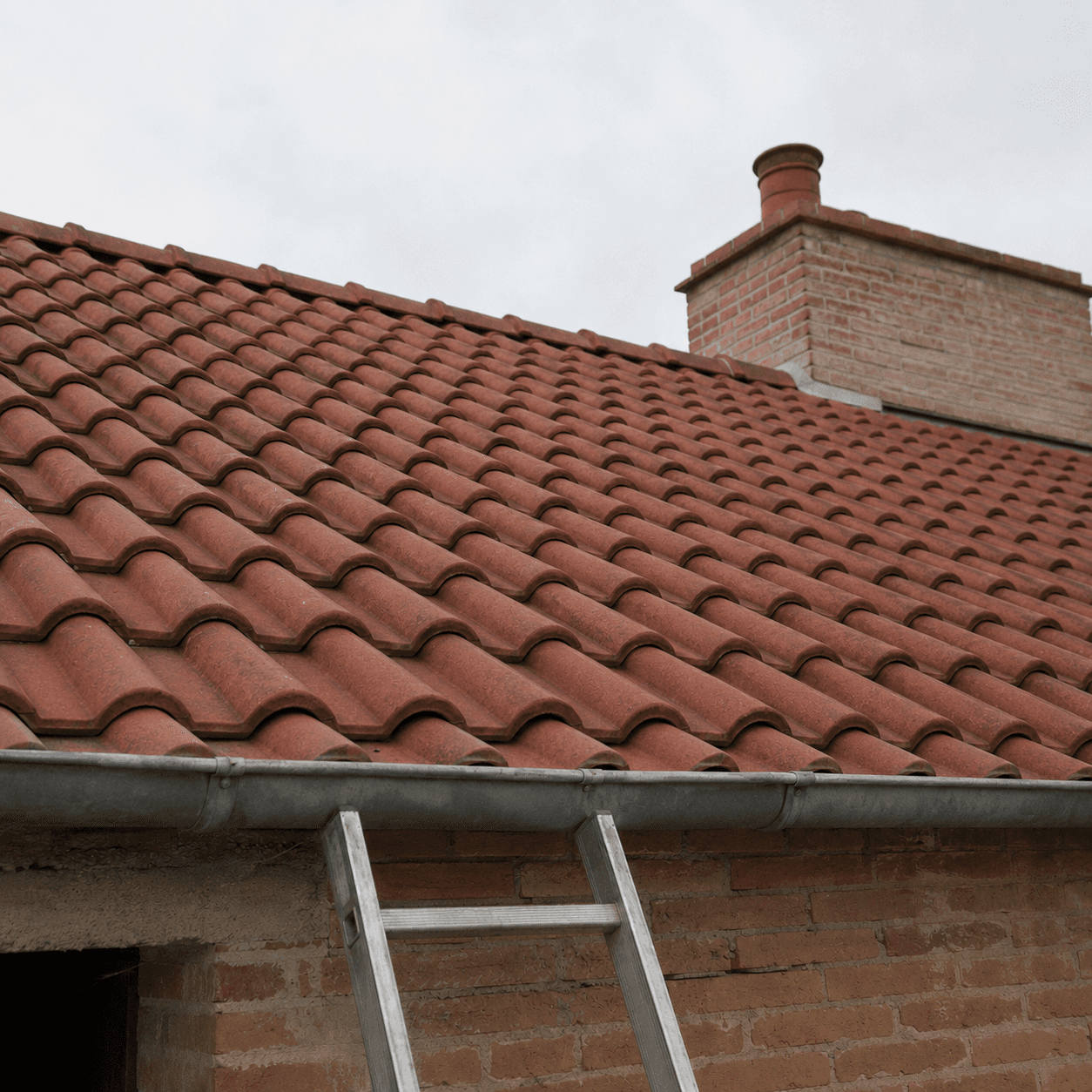 Démoussage de toiture à Montauban 