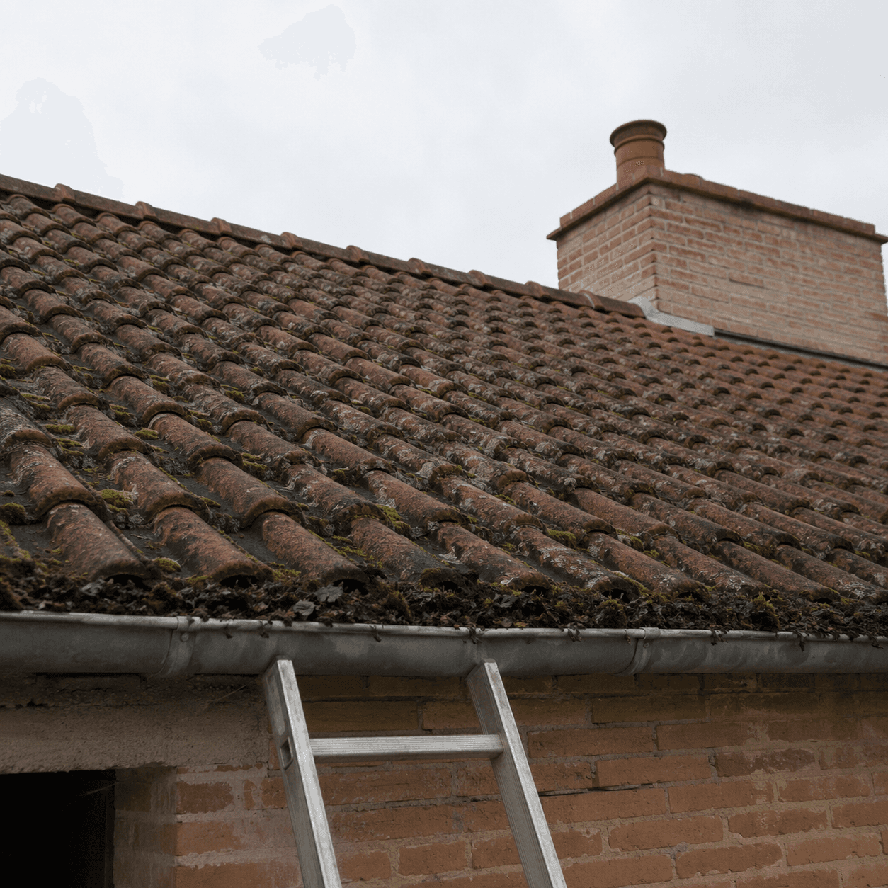 Toiture en tuile béton envahie par la mousse avant intervention à Montauban